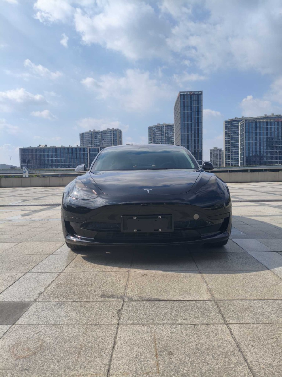 Tesla Model 3 2022 #2 Tesla Model 3 2022 car image #2