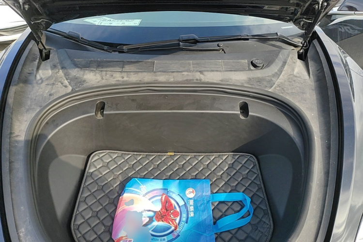 Tesla Model 3 2020 صورة سيارة #22