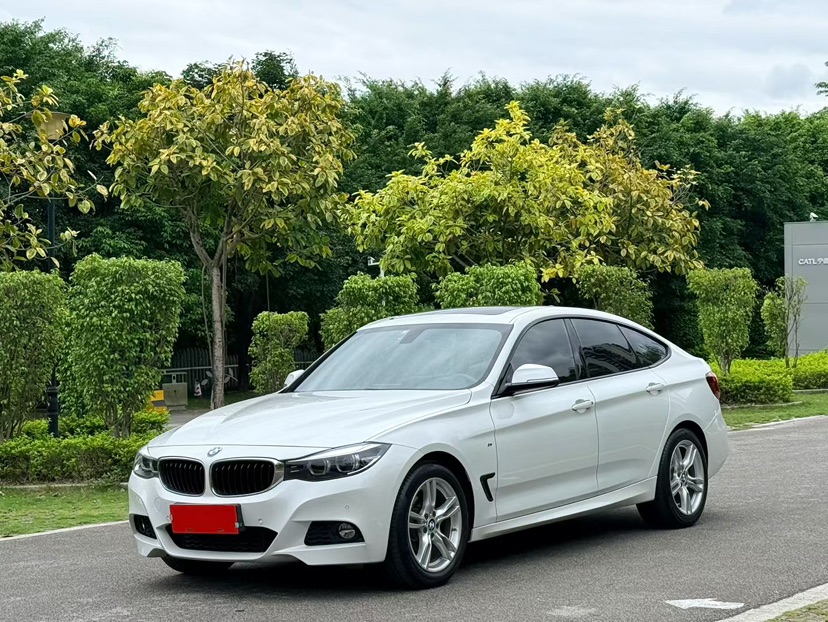 BMW 3 Series GT 2019 изображение автомобиля 