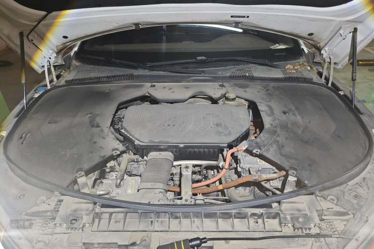 BYD Han 2020 car image #22