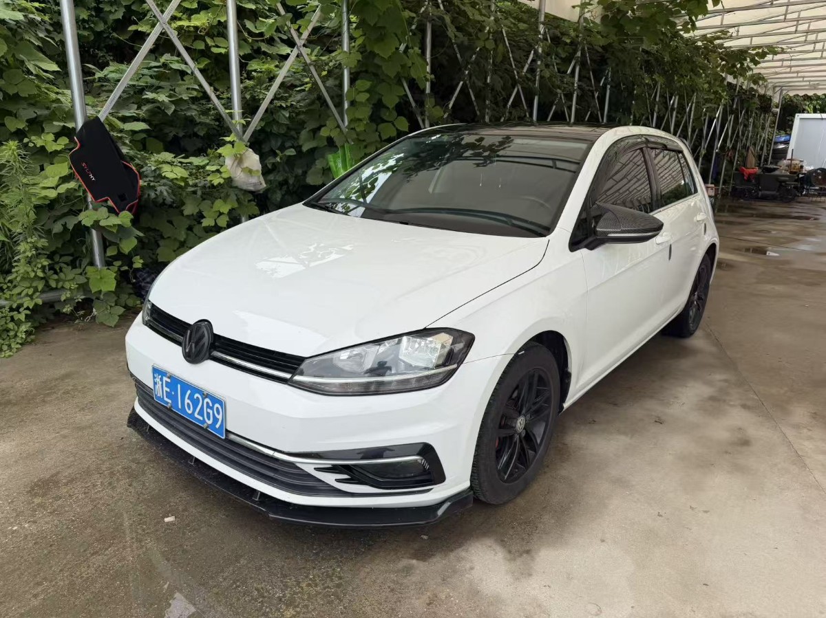 Volkswagen Golf 2019 car image 