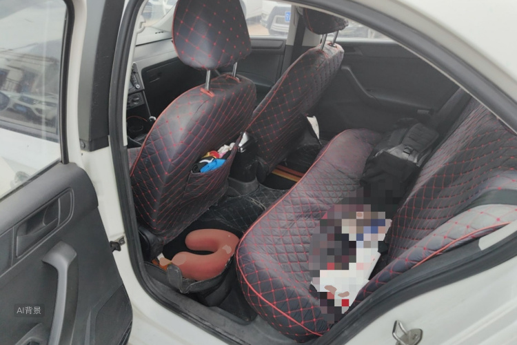 Volkswagen Santana 2016 car image #19