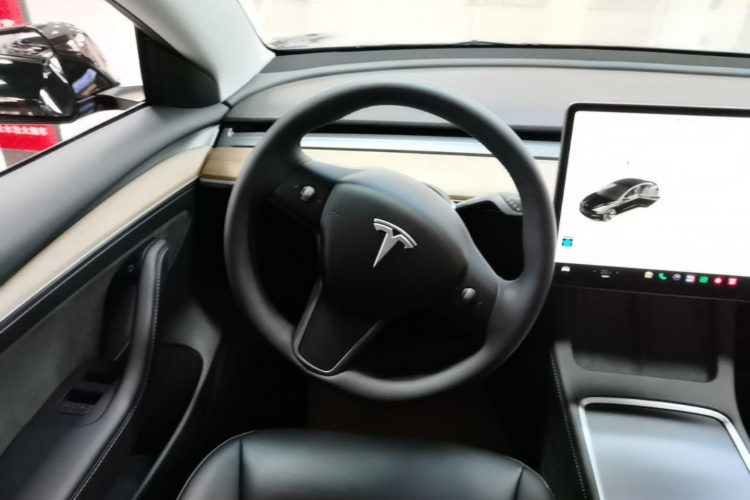 Tesla Model 3 2021 car image #11