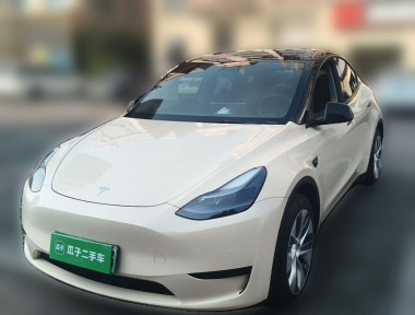 Tesla Model Y 2022 Tesla Model Y 2022 car image