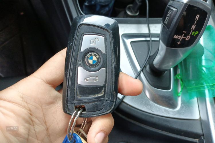 BMW 3 Series 2017 car image #10