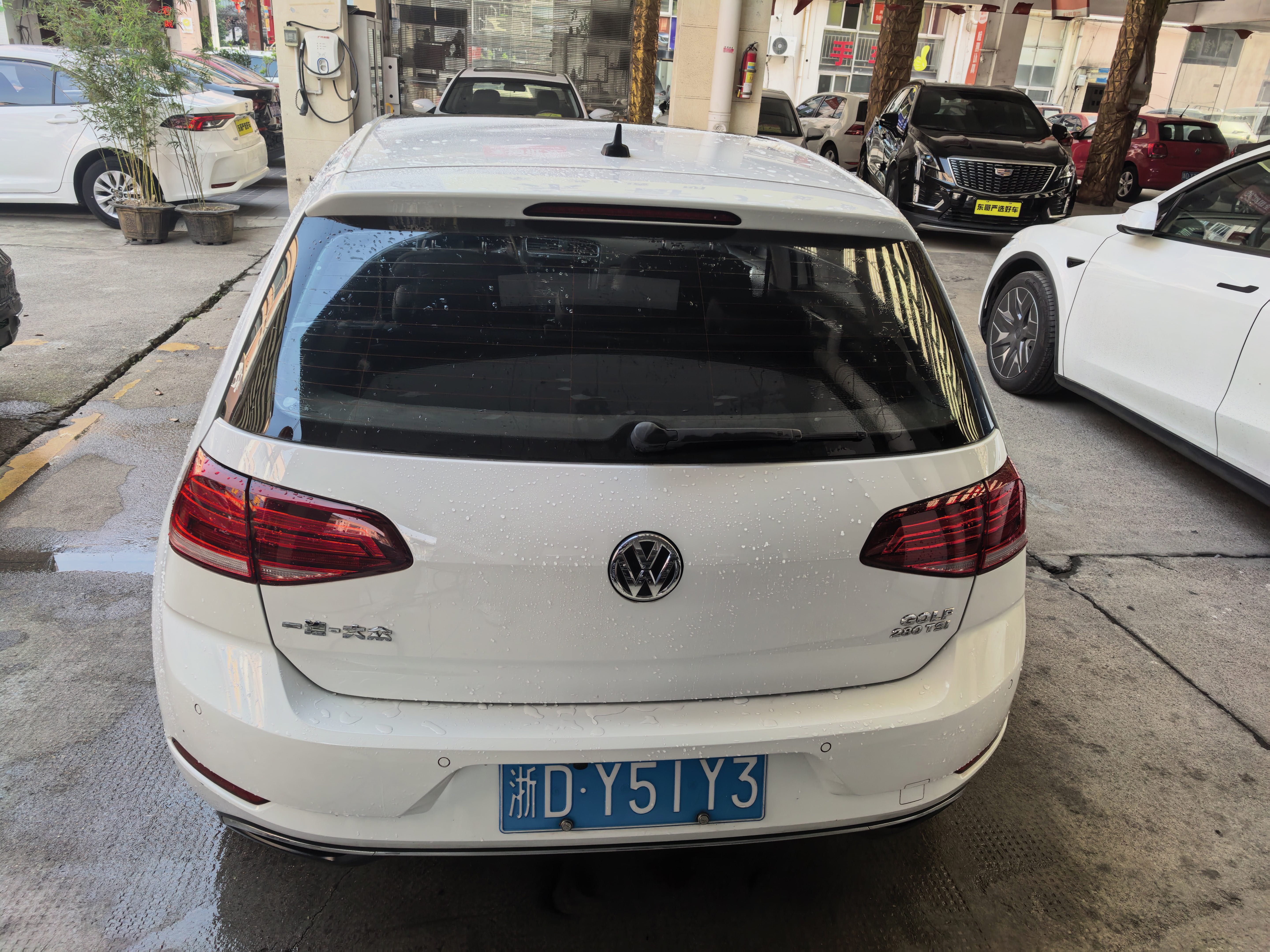Volkswagen Golf 2019 #4 Volkswagen Golf 2019 car image #4