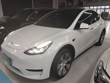 Tesla Model Y 2022 Tesla Model Y 2022 car image