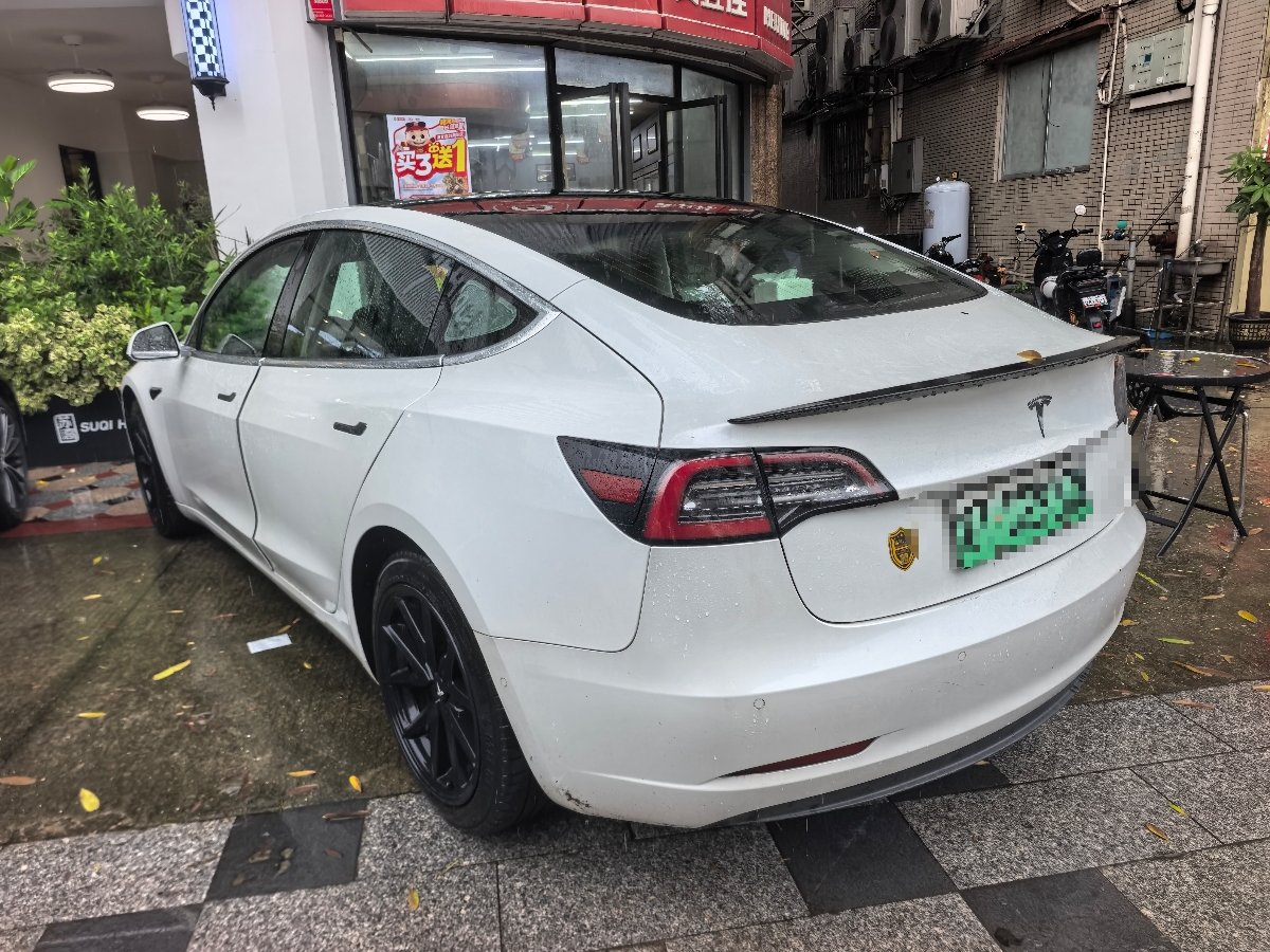 Tesla Model 3 2020 car image #2
