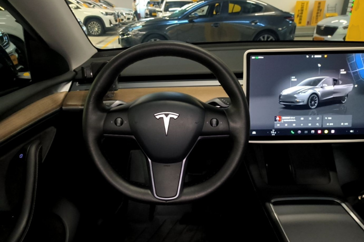 Tesla Model Y 2022 car image #11