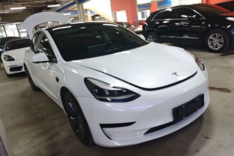 Tesla Model 3 2021 car image #6