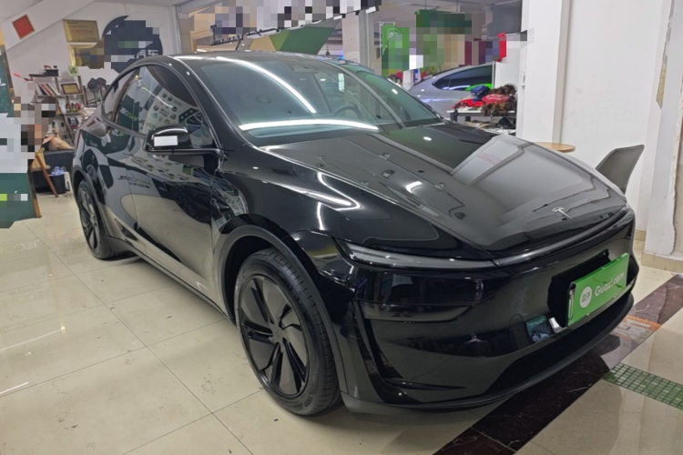 Tesla Model Y 2025 car image #4