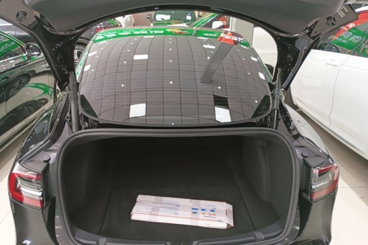 Tesla Model 3 2022 car image #19