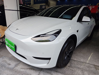 Tesla Model Y 2023 Tesla Model Y 2023 car image