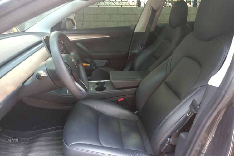 Tesla Model 3 2021 #17 Tesla Model 3 2021 صورة سيارة #17