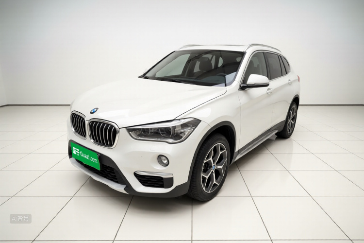 BMW X1 2019 car image #2