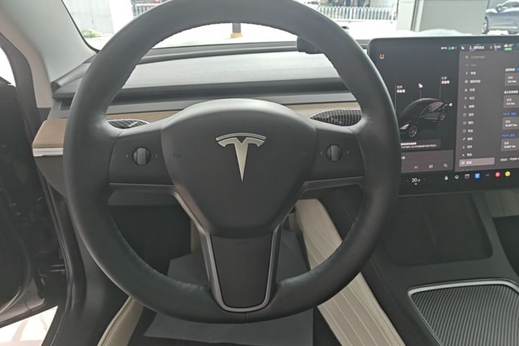 Tesla Model 3 2021 #17 Tesla Model 3 2021 car image #17