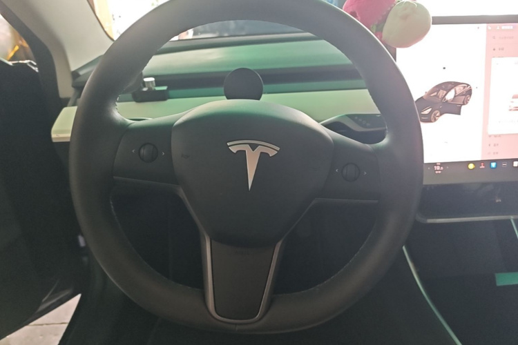 Tesla Model 3 2020 #11 Tesla Model 3 2020 car image #11