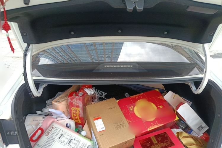 Toyota Corolla 2020 car image #21