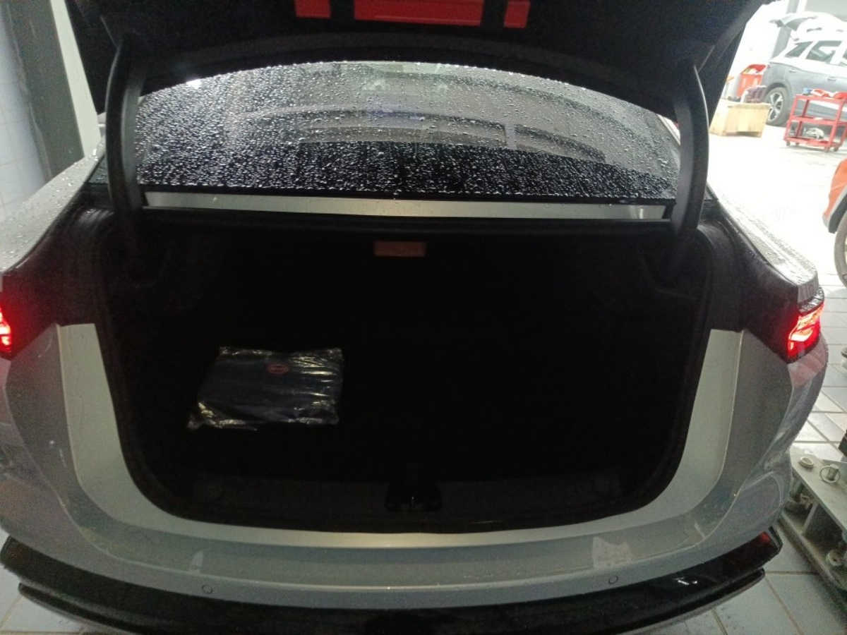 BYD HanL 2025 صورة سيارة #9