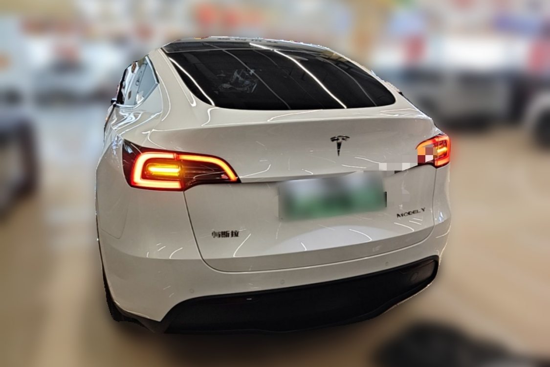 Tesla Model Y 2024 car image #4