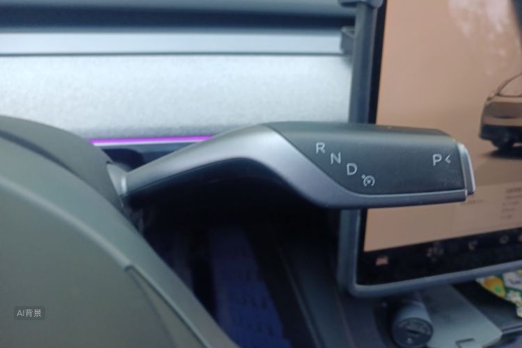Tesla Model Y 2024 car image #16