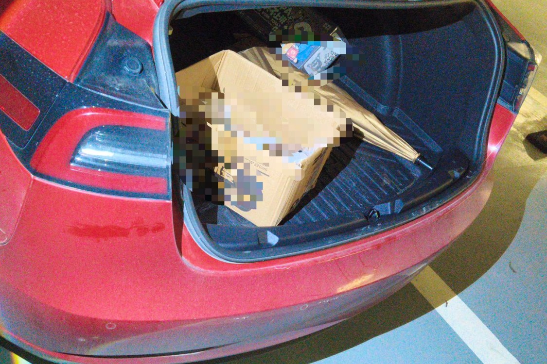 Tesla Model 3 2021 #8 Tesla Model 3 2021 car image #8