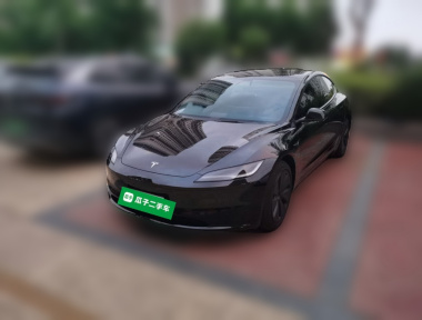 Tesla Model 3 2025 car image 