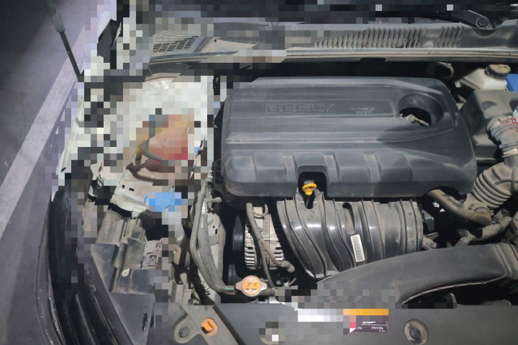 GEELY Emgrand 2022 immagine di auto #23