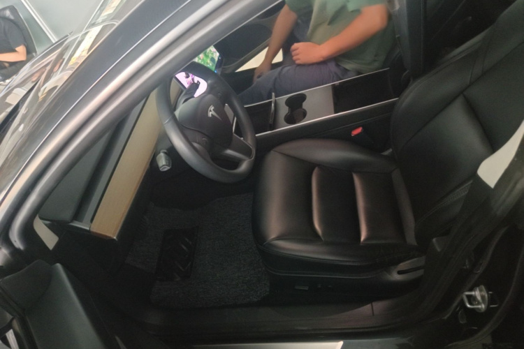 Tesla Model 3 2020 car image #19