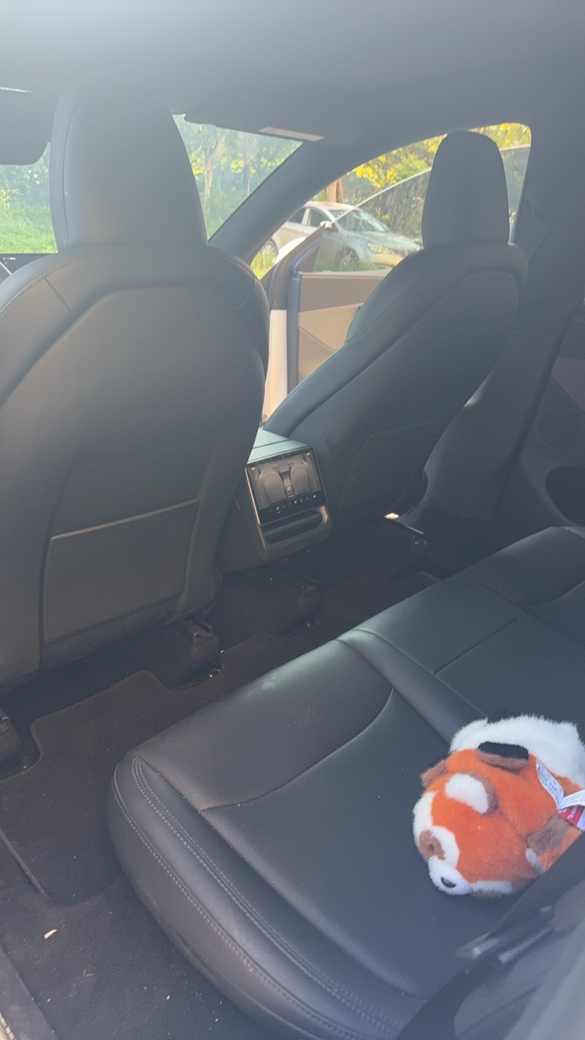 Tesla Model Y 2026 #4 Tesla Model Y 2026 car image #4