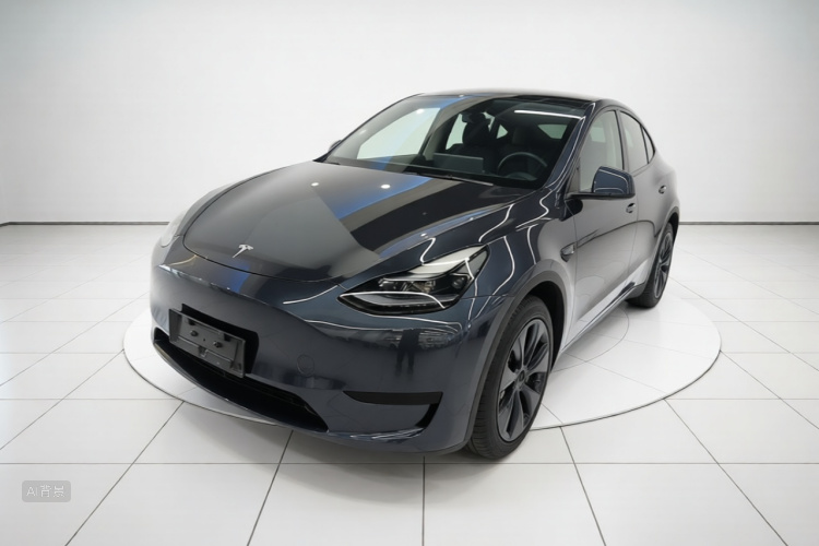 Tesla Model Y 2024 car image #2