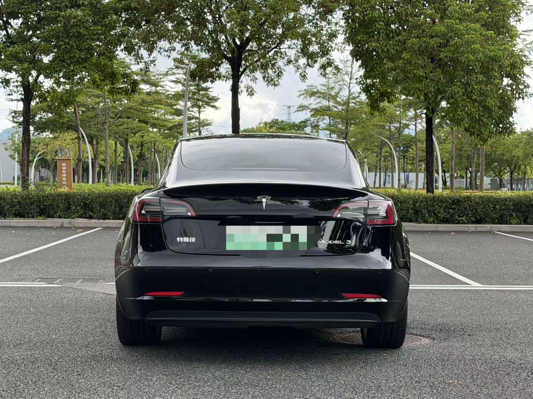Tesla Model 3 2021 #8 Tesla Model 3 2021 car image #8