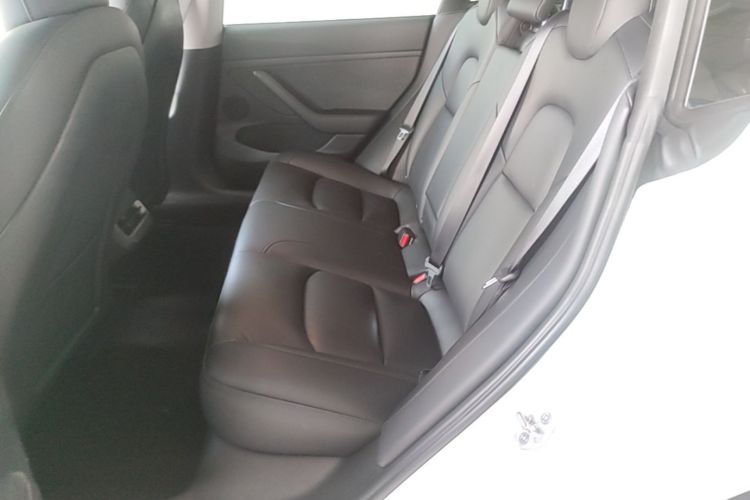 Tesla Model 3 2021 car image #17