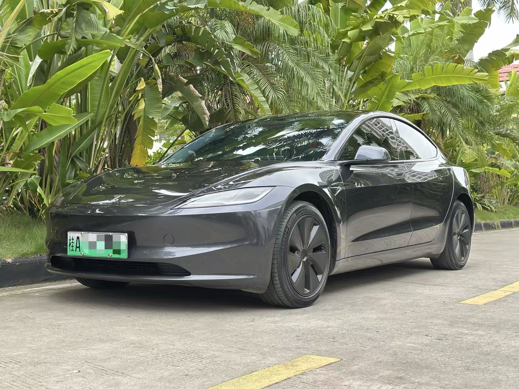 Tesla Model 3 2024 car image 