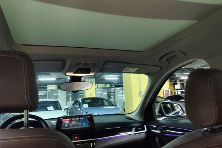 BMW X1 New Energy 2020 car image #18