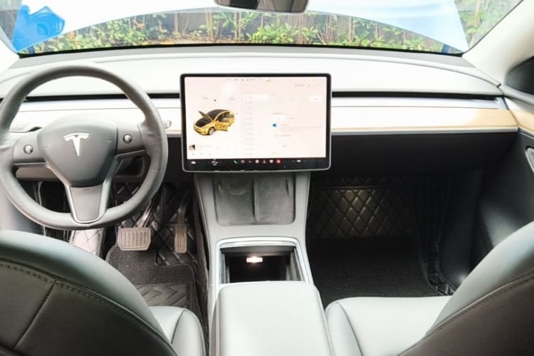 Tesla Model Y 2021 #11 Tesla Model Y 2021 car image #11