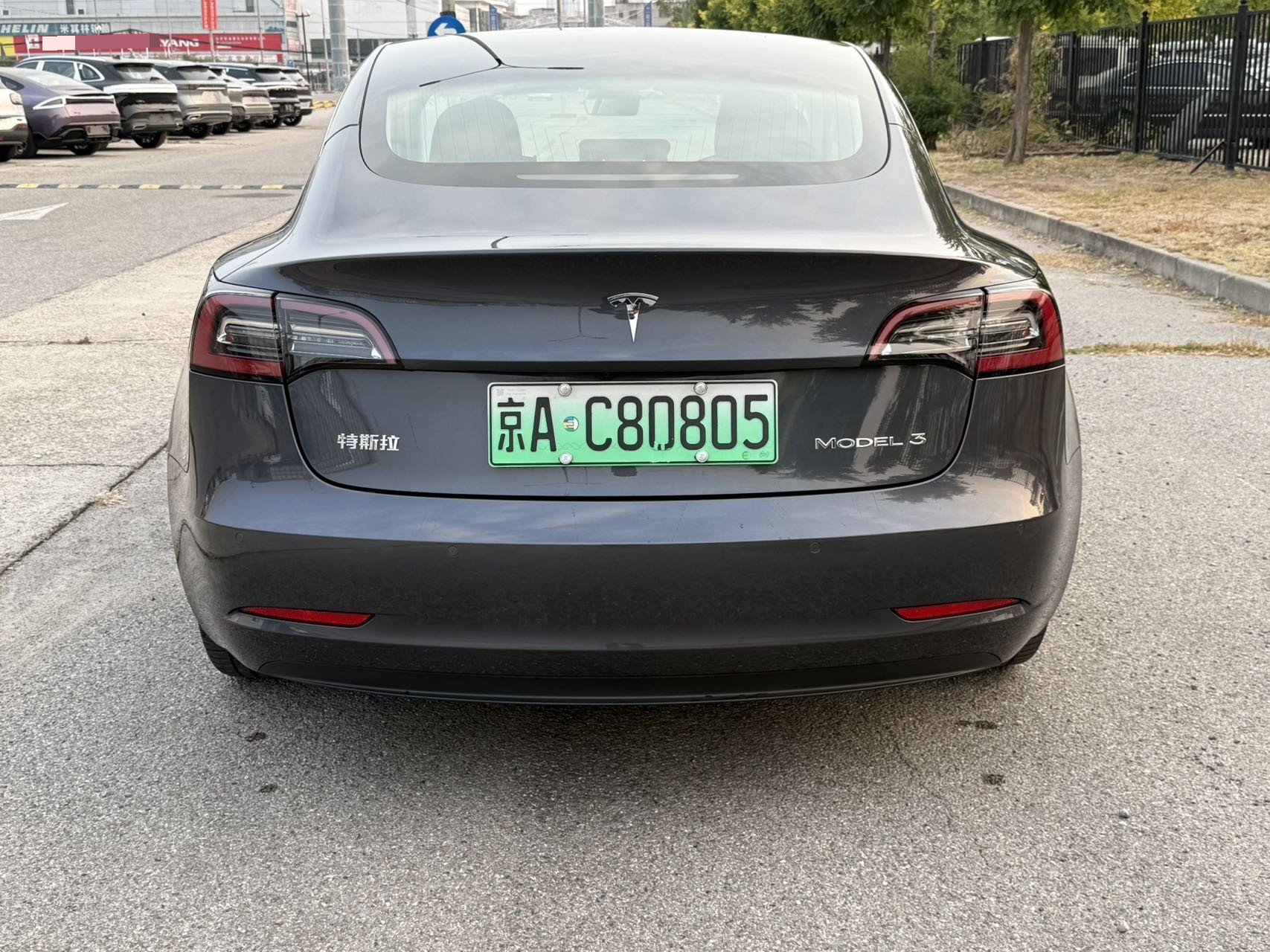 Tesla Model 3 2021 immagine di auto #5