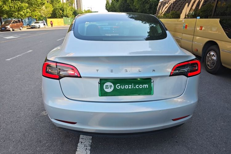 Tesla Model 3 2020 car image #6
