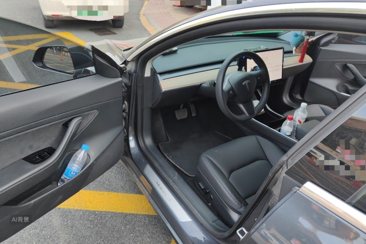 Tesla Model 3 2020 car image #18