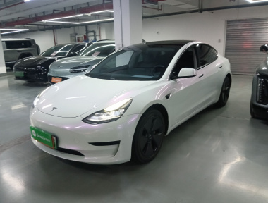 Tesla Model 3 2021 Tesla Model 3 2021 car image