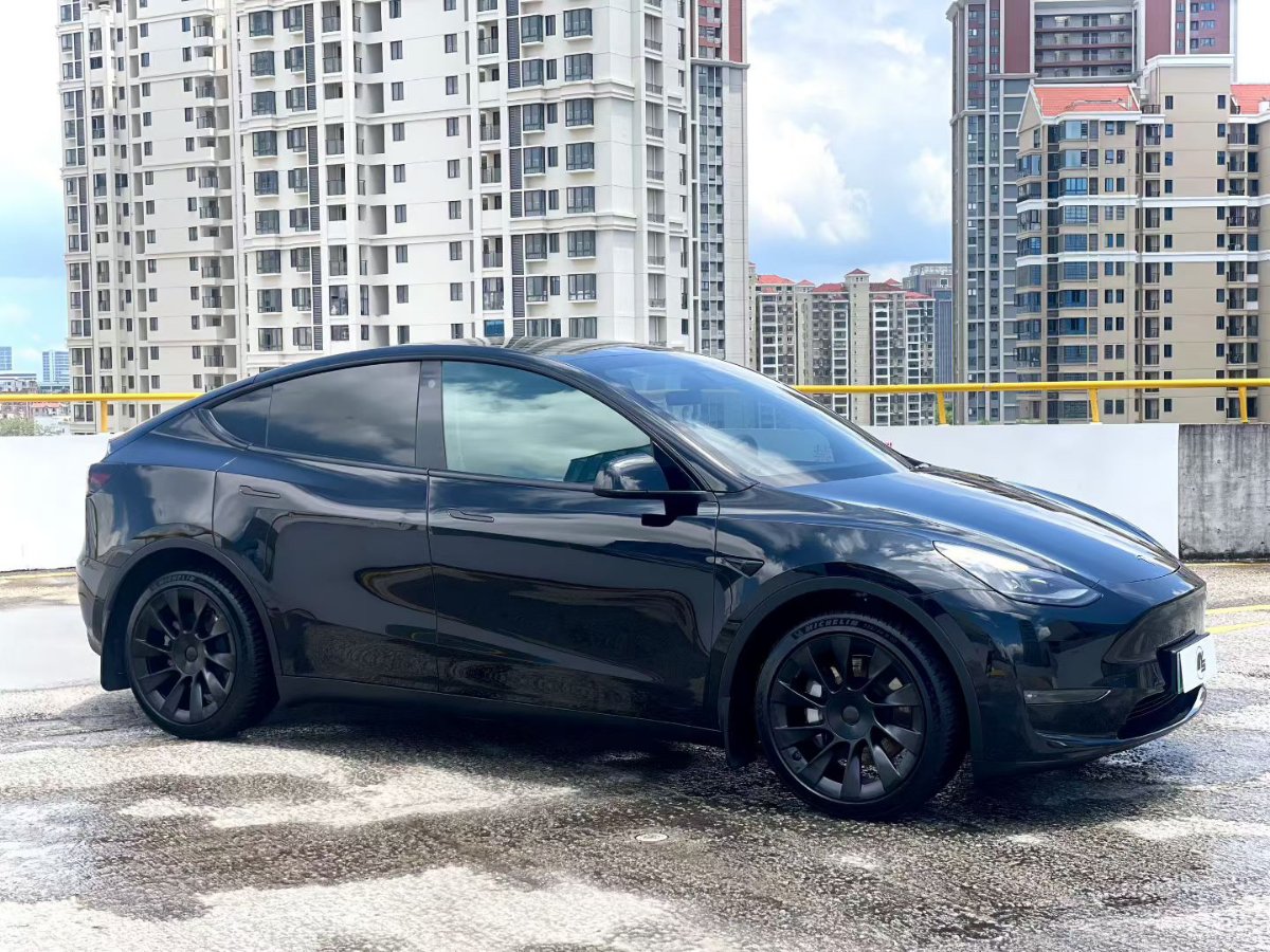 Tesla Model Y 2021 #3 Tesla Model Y 2021 car image #3