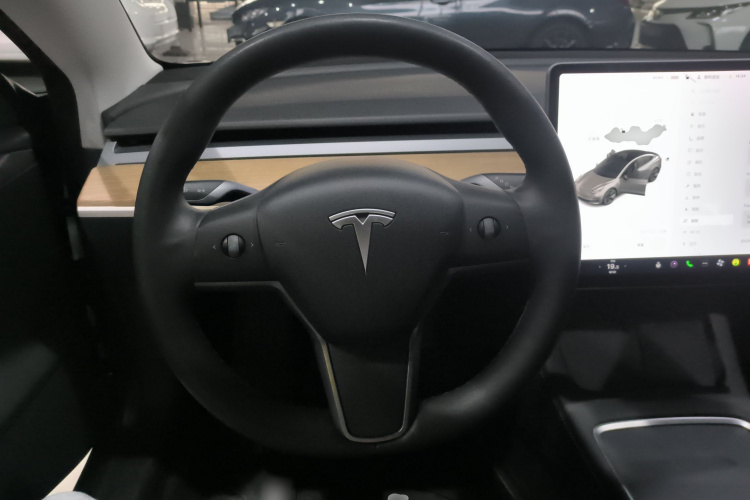 Tesla Model 3 2021 car image #11
