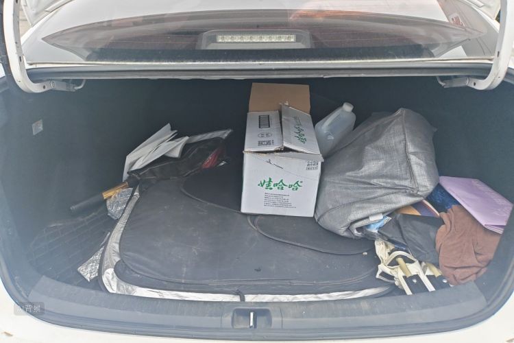 Toyota Corolla 2021 car image #21