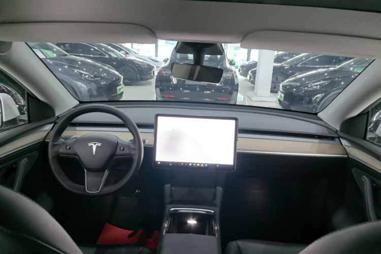 Tesla Model Y 2021 car image #10