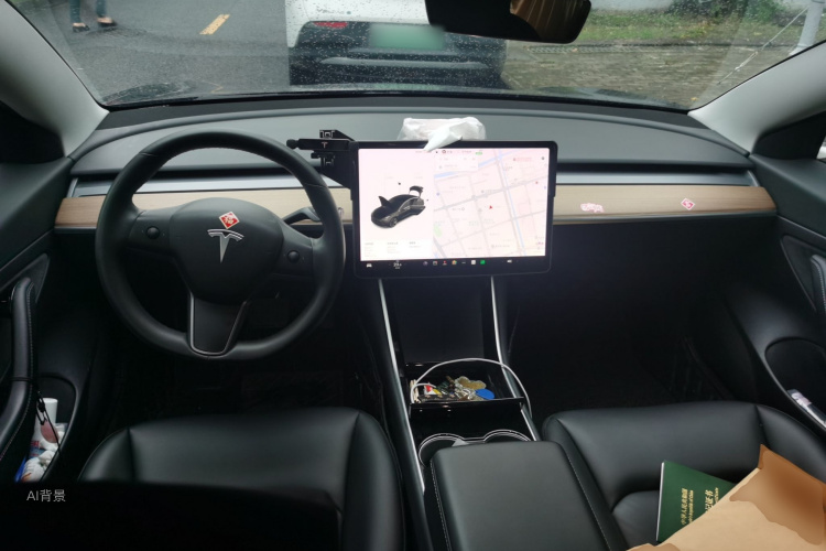 Tesla Model 3 2020 car image #11
