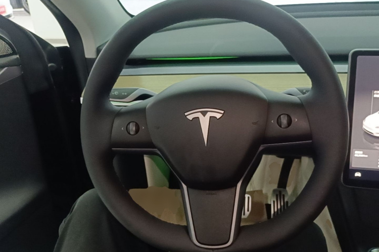 Tesla Model Y 2023 immagine di auto #11