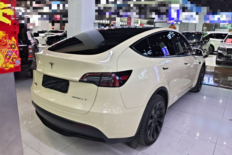 Tesla Model Y 2021 #5 Tesla Model Y 2021 car image #5