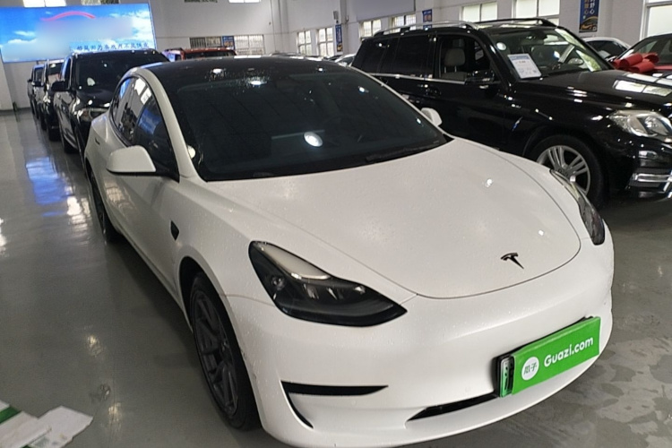 Tesla Model 3 2021 #4 Tesla Model 3 2021 car image #4