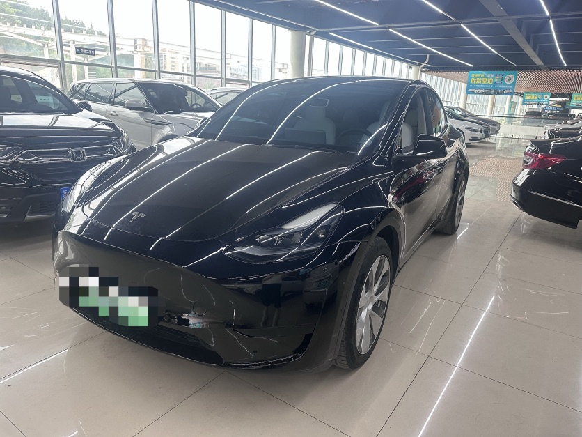 Tesla Model Y 2022 car image 