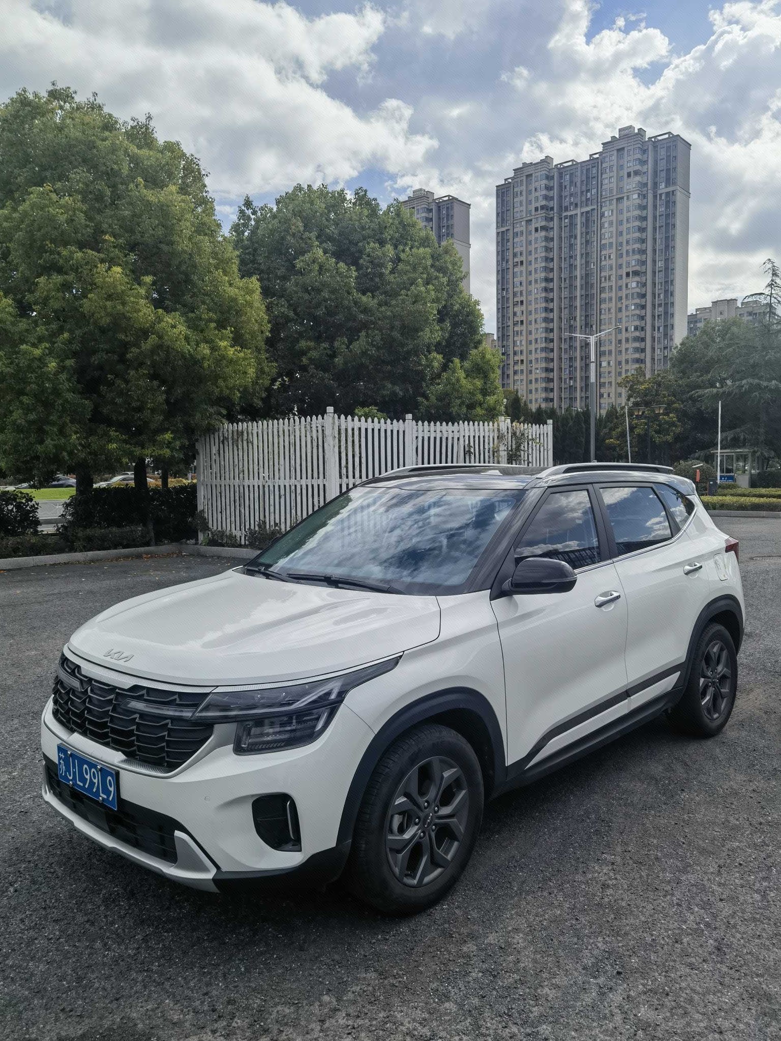 Kia Seltos 2024 car image 
